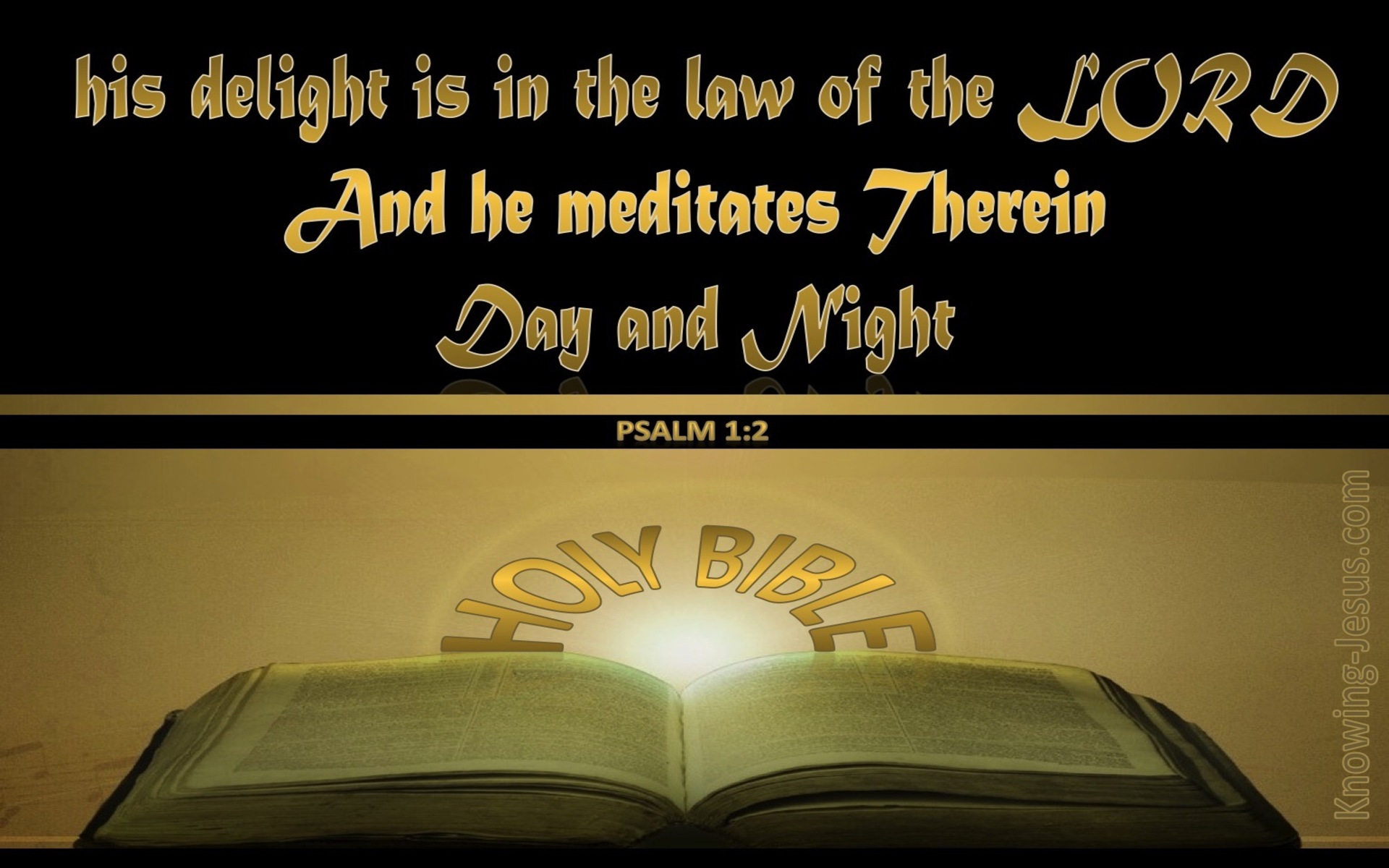 Psalm 1:2 He Delights in the Law of the Lord (gold)